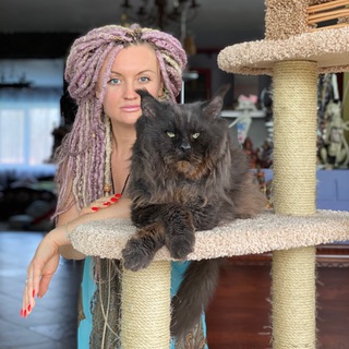 Логотип телеграм канала @catsvillcounty — Catsvill County & Tatiana Rastorgueva