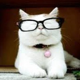 Telegram kanalining logotibi catturd_funpage — Catturd