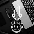 Logo saluran telegram caucadautuchannel — Cậu Cả Đầu Tư (CACA) I Channel