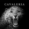 Logo del canale telegramma cavaleriaa - Ｃａｖａｌｅｒｉａ 🏴