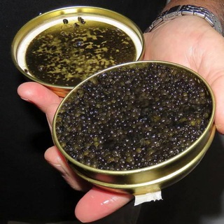 Логотип телеграм канала @caviar_kupit — Красная Икра Морепродукты