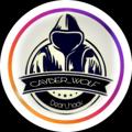 Logo saluran telegram cayber_wolf — گرگ سایبری| 𝗖𝗔𝗬𝗕𝗘𝗥_𝗪𝗢𝗟𝗙