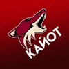 Логотип телеграм канала @cayotes_officiall — КАЙОТЫ