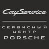 Логотип телеграм канала @cayservice_porsche — CayService Porsche