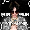 Логотип телеграм канала @cbinarnik — СВИНАРНИК ПИГЛИНА