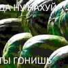 Логотип телеграм канала @ccc333love — Чиста мая чета там🙏🥭