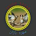 Logo saluran telegram ccguh — کانال سهره بازان