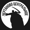 Telegram channel Центральное Чертаново logo