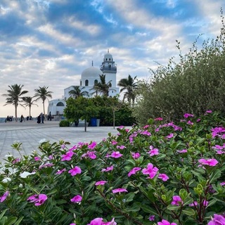 لوگوی کانال تلگرام ccrrrv — ارتواء