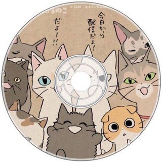 Логотип телеграм канала @cdkit — Диск с котятами 🐾