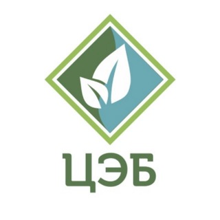 Telegram channel ООО 