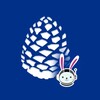 Логотип телеграм канала @cedrusdata — Trino и CedrusData