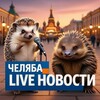 Логотип телеграм канала @celyba174 — ЧЕЛЯБА LIVE Новости от колючего ежа и ехидны.