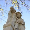 Логотип телеграм канала @cemetery_su — cemetery.su