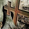Логотип телеграм канала @cemeterystrawberry — сemetery strawberry