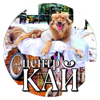 Логотип телеграм канала @center_kay — Центр «КАЙ» 🐾🦽