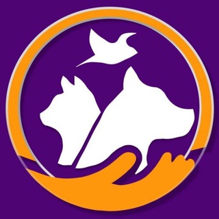 Логотип телеграм канала @center9lives — 9 жизней