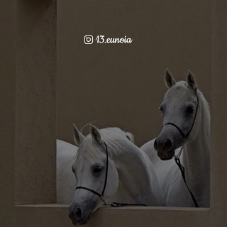 Telegram channel 13 ོ logo