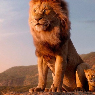 Telegram channel Le Cercle Des Lions 974 logo