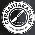 Logo saluran telegram cerrahiakademi — TIPakademisi Genel Cerrahi