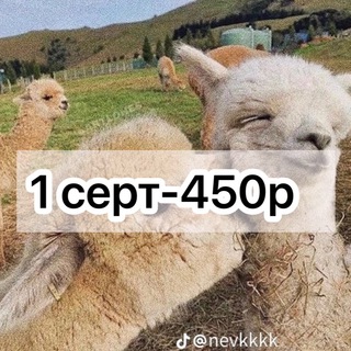 Логотип телеграм канала @certificate_skarlett — Сертфикаты skarlett and easign || Скарлетт и есигн