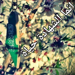 لوگوی کانال تلگرام certificate2 — 💚إنما الشهادة حياة 💚