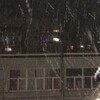 Логотип телеграм канала @ceveronli — в Североморске любят