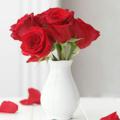 لوگوی کانال تلگرام chaavokaam — ❤عاشقانه‌ها و دلشکستہ ها❤