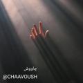 لوگوی کانال تلگرام chaavoush — چاووش_به قلمِ عیسی اسدی(میم)
