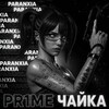 Логотип телеграм канала @chaika_pubg — ЧАЙКА PUBG