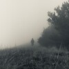 Логотип телеграм канала @chaisob7epihoi — чай с облепихой