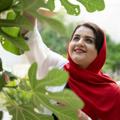 لوگوی کانال تلگرام chakraf — چاکرادرمانی🧘‍♀️فیروزه مالایی