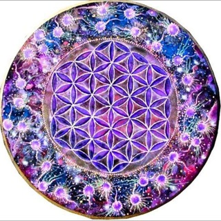 Telgraf kanalının logosu chamavioleta — CHAMA VIOLETA 💜💜💜 💜 💜 💜 💜