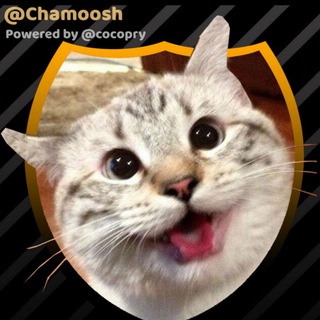 لوگوی کانال تلگرام chamoosh — 😻 چموش | Cute Cats
