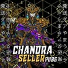 Telegram channel CHANDRA PUBG STORE logo