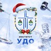 Логотип телеграм канала @chanel_institut_udo — Институт УДО