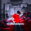لوگوی کانال تلگرام channel_afzal — 𝐂ʜᴀɴɴᴇʟ ⁞𝐒ʜᴀʜᴢᴀᴅᴀ ⋆📍🪽