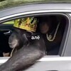 Логотип телеграм канала @channelfant1k — Fant1k||Channel