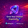 Logo of telegram channel channelgrowtips — Channel Grow Tips