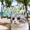Logo of telegram channel channelkomaru — Komaru Cat 🌺