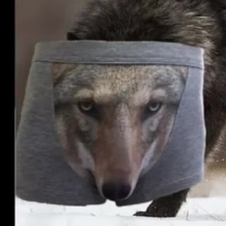 Логотип телеграм канала @channelnamem — Запомните твари