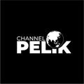 Logo saluran telegram channelpelik — Pelik Bin Ajaib 🌘