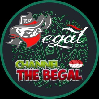 Logo of telegram channel channelthebegal_channel — Channel The Begal