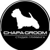 Логотип телеграм канала @chapa_groom — 🅒🅗🅐🅟🅐_🅖🅡🅞🅞🅜 ✂️ ГРУМИНГ МОСКВА СТРИЖКА СОБАК И КОШЕК