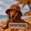 Логотип телеграм канала @chapitosikboss — Блог чапитосикbo$$