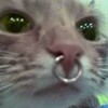Telegram арнасының логотипі charmingxzc — charming.piercing