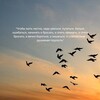 Логотип телеграм канала @chastnoe_mneniye — Частное мнение