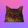 Логотип телеграм канала @chastudio — Чайная студия