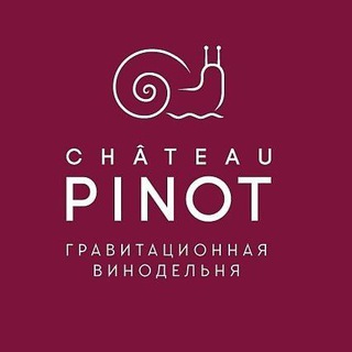 Логотип телеграм канала @chateaupinot — Chateau Pinot Гравитационная винодельня