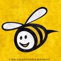 Logo saluran telegram chatogeramcash — ثبات پرداختی‌ها( چتوگرام 🐝)